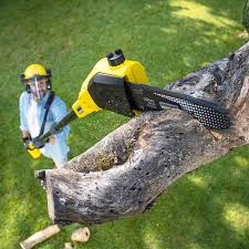 Best Artificial Turf Installation  in Pine Island, TX